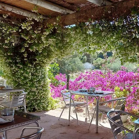 Agnese 3* باديسي