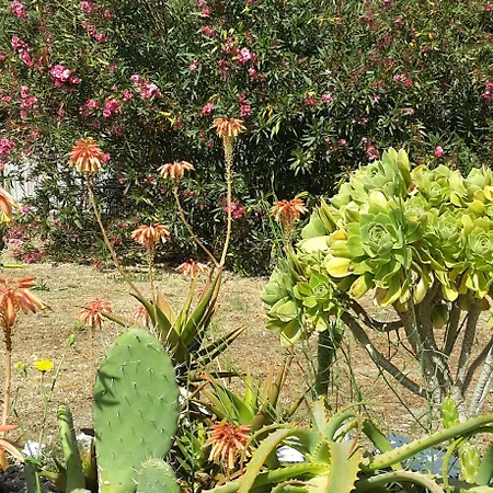 فندق مبيت وإفطار Agnese 3*