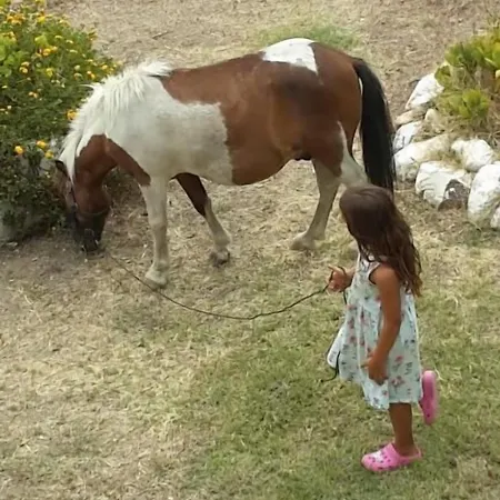 Agnese Bed and breakfast 3*